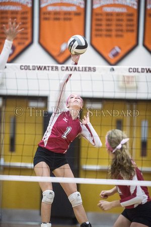 coldwater-st-henry-volleyball-002
