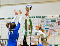 celina-defiance-volleyball-008