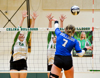 celina-defiance-volleyball-010