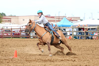 auglaize-county-fair-horse-show-017