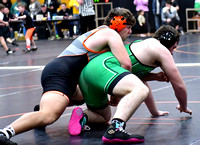 celina-coldwater-wrestling-003