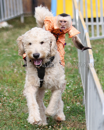 auglaize-county-fair-day-1-023