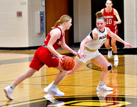 parkway-new-knoxville-basketball-girls-011