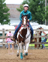 auglaize-county-fair-horse-show-008