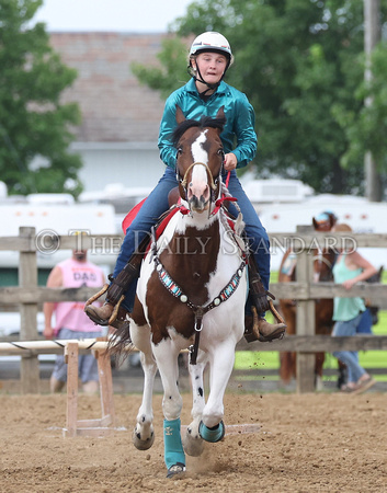 auglaize-county-fair-horse-show-008