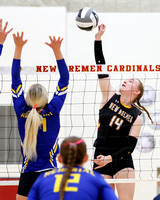 new-bremen-st-marys-volleyball-001