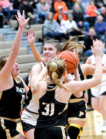 parkway-coldwater-basketball-girls-002