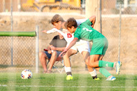 celina-shawnee-soccer-boys-005