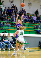 fort-recovery-celina-basketball-girls-003