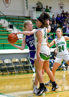 fort-recovery-celina-basketball-girls-005