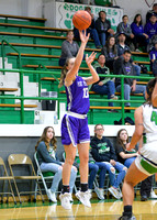 fort-recovery-celina-basketball-girls-006