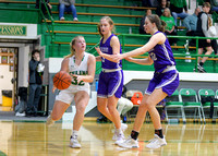 fort-recovery-celina-basketball-girls-009