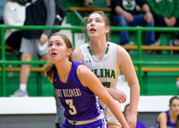 fort-recovery-celina-basketball-girls-011