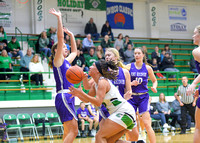 fort-recovery-celina-basketball-girls-012