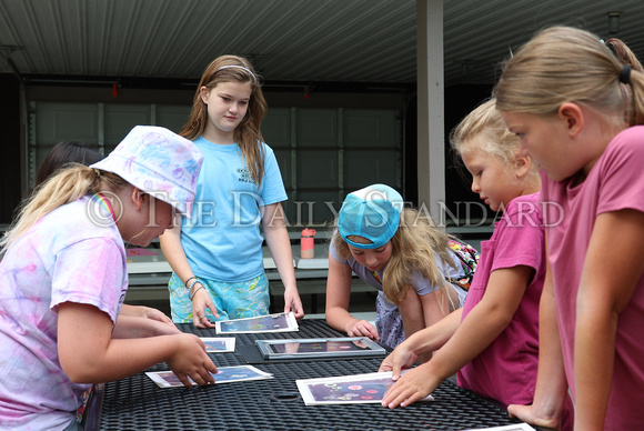 arts-in-the-park-making-sun-prints-021