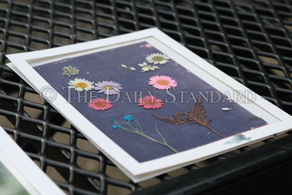 arts-in-the-park-making-sun-prints-015