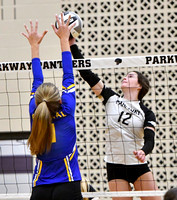 parkway-st-marys-volleyball-010