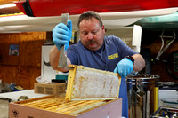 honeymaking-003