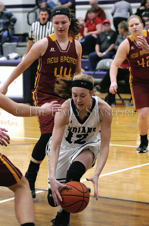 fort-recovery-new-bremen-basketball-girls-004