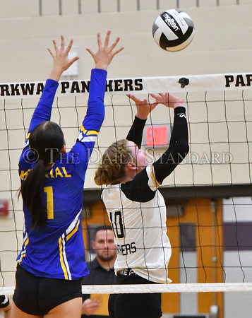 parkway-st-marys-volleyball-008