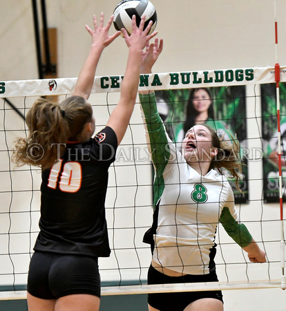 celina-coldwater-volleyball-009