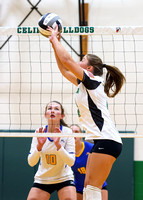 marion-local-celina-volleyball-002