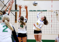 marion-local-celina-volleyball-010