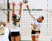 marion-local-celina-volleyball-012