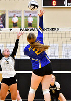 parkway-st-marys-volleyball-001