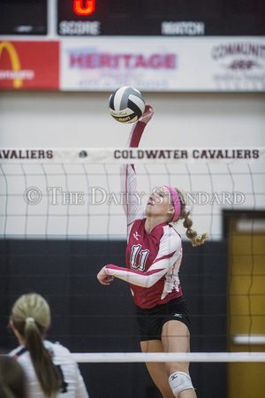 coldwater-st-henry-volleyball-005