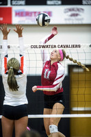 coldwater-st-henry-volleyball-004