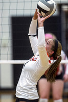 coldwater-st-henry-volleyball-007