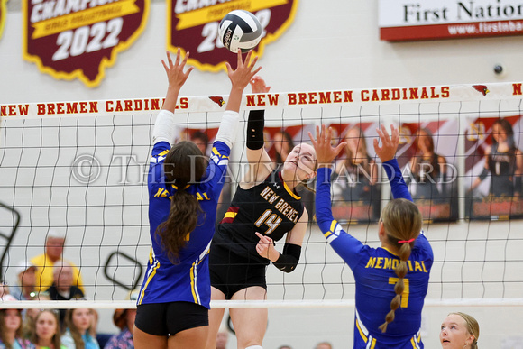 new-bremen-st-marys-volleyball-003