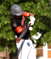 fort-recovery-coldwater-baseball-005