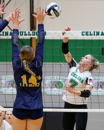 celina-ottawa-glandorf-volleyball-011