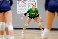 celina-ottawa-glandorf-volleyball-002