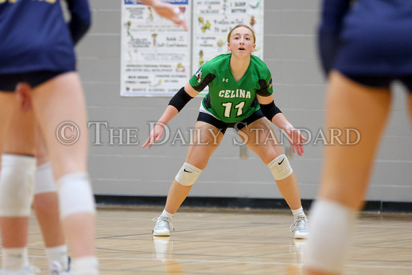 celina-ottawa-glandorf-volleyball-002