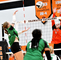 coldwater-celina-volleyball-005