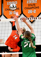 coldwater-celina-volleyball-004