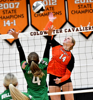 coldwater-celina-volleyball-001