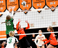 coldwater-celina-volleyball-003