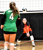 coldwater-celina-volleyball-007