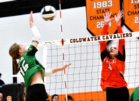 coldwater-celina-volleyball-008