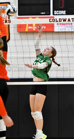 coldwater-celina-volleyball-018