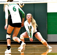 celina-coldwater-volleyball-007