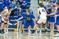 marion-local-fort-loramie-basketball-boys-016