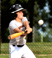 coldwater-coldwater-pony-baseball-001