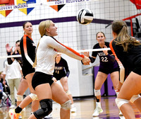 fort-recovery-minster-volleyball-001
