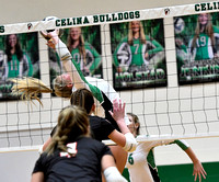 celina-coldwater-volleyball-010