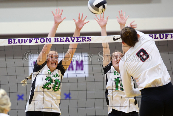 celina-shawnee-volleyball-002